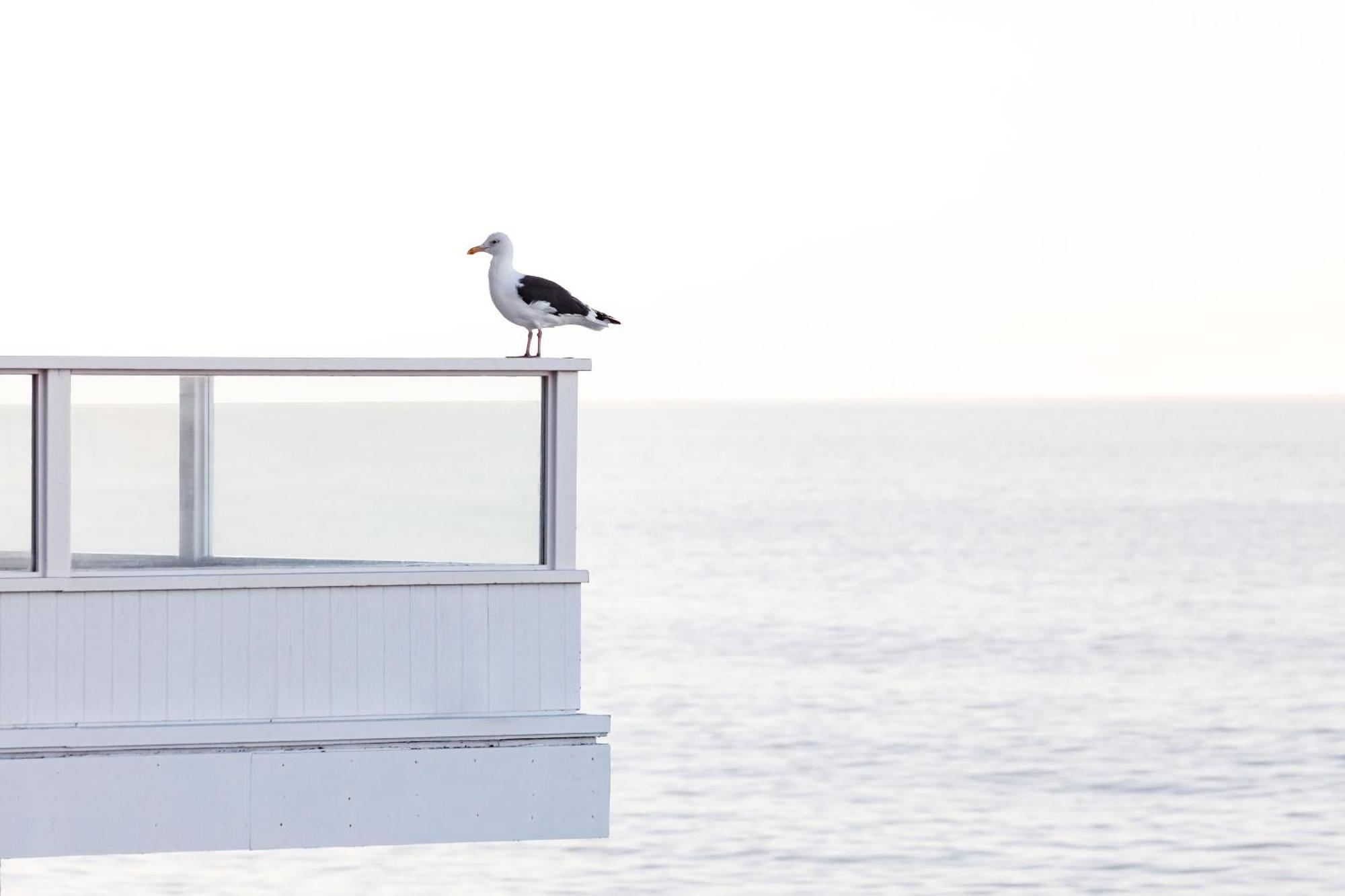 Pacific Edge 4*